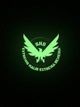 The Division SHD Patch — alternate view 4