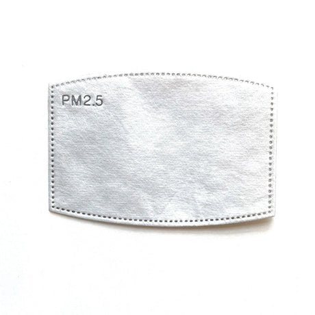 Mask Filter Pm2.5 (5-pack) – Adult
