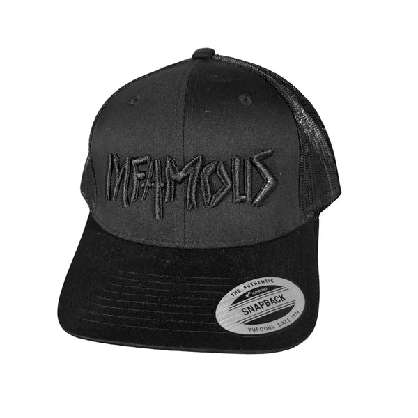 Flexfit Snapback Hat – Black (Black Logo)