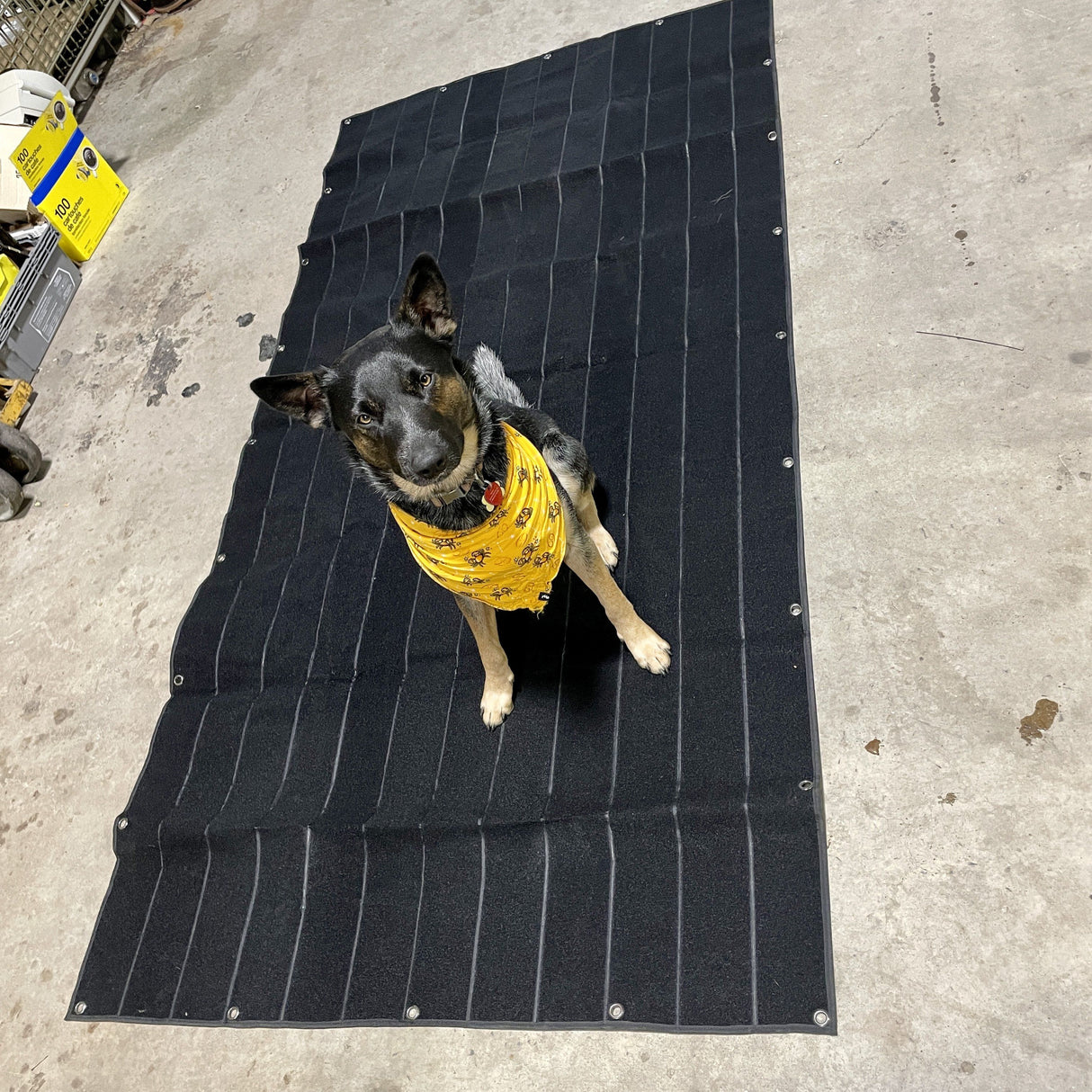 Patch Panel - 48" x 96"