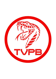 TVPB Designs brand logo