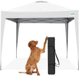 Quictent 10x10 Pop Up Canopy Tent - Instant Setup Gazebo for 1 Person, Portable & Compact, Waterproof & UV Protection, Ideal