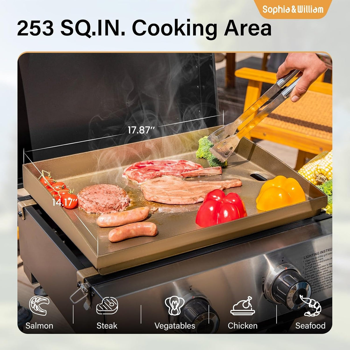 Sophia & William Portable Gas Grill Griddle, Small Propane BBQ grill with Foldable Legs & Wheels for Outdoor Barbecue,
