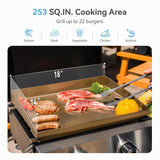 GREEN PARTY 2 Burner BBQ Propane Gas Griddle with Collapsible Stand, 18 Inch Portable Griddle with Side Table & 253 Sq. In.