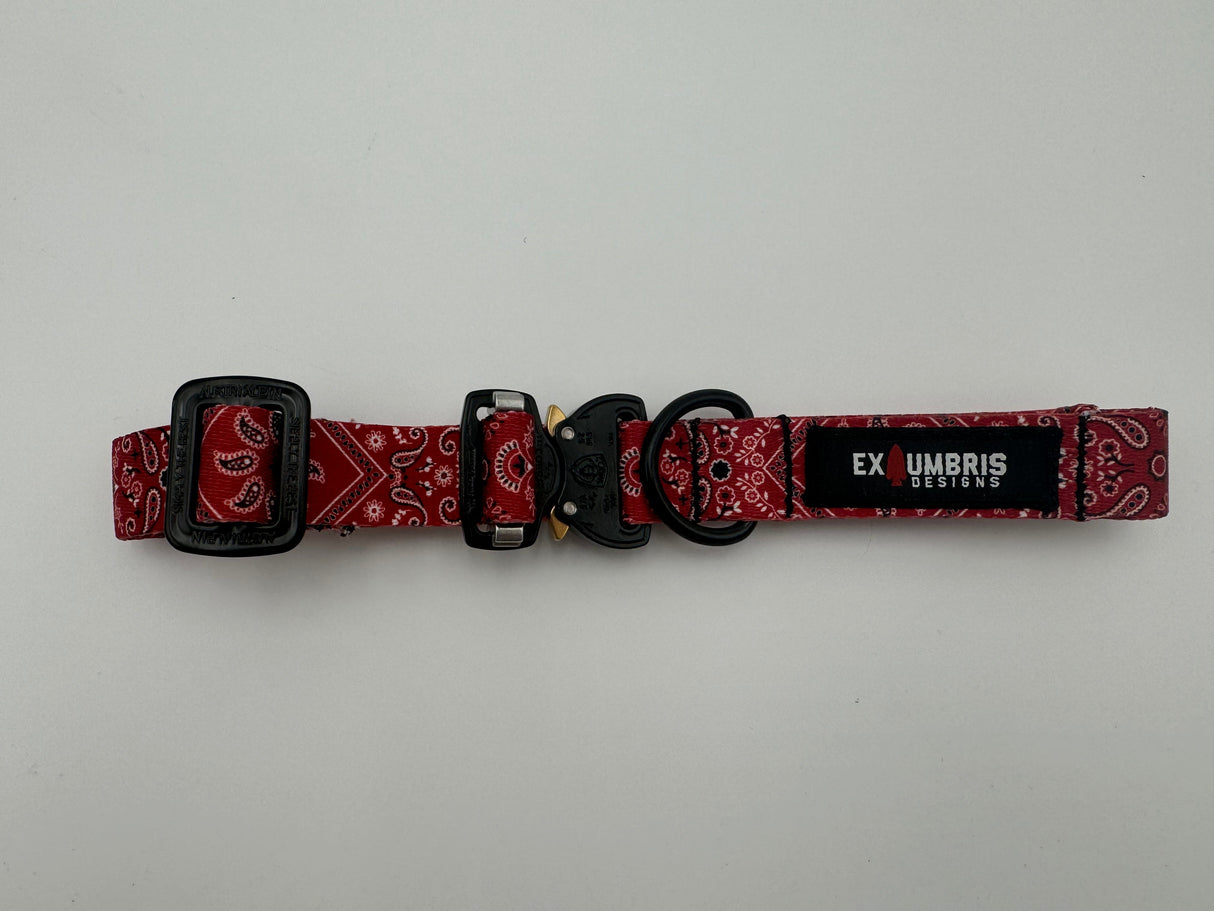 Cobra Buckle Dog Collar in Cheyenne Arrows, alternate view 7