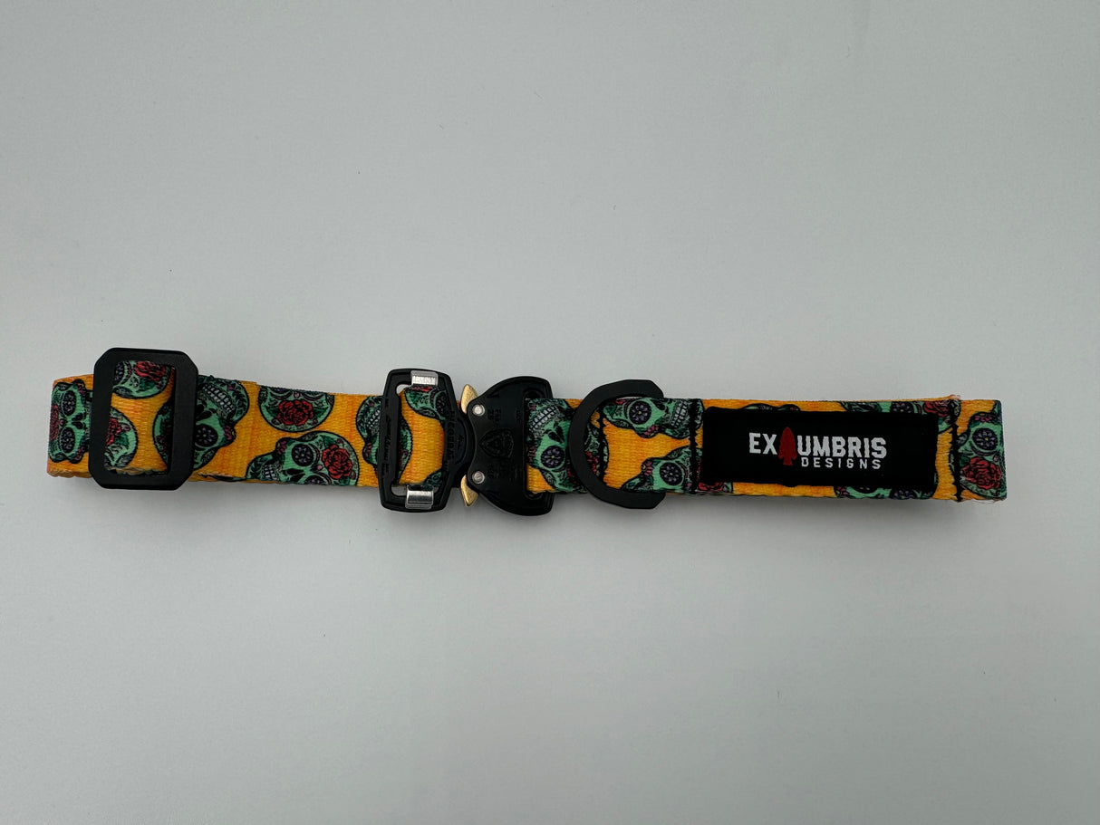 Cobra Buckle Dog Collar in Sugar Skulls, alternate view 10