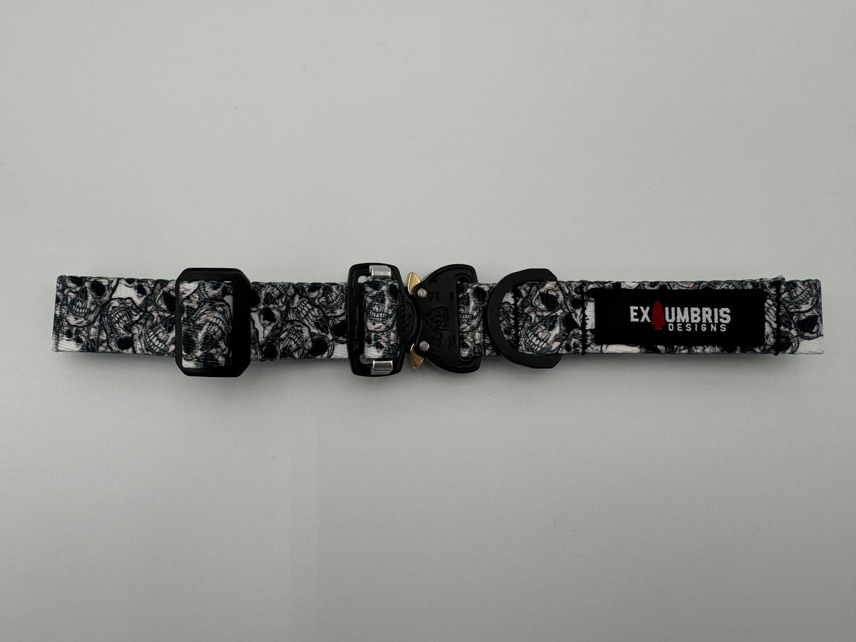 Cobra Buckle Dog Collar in Phantom Skulls, alternate view 11
