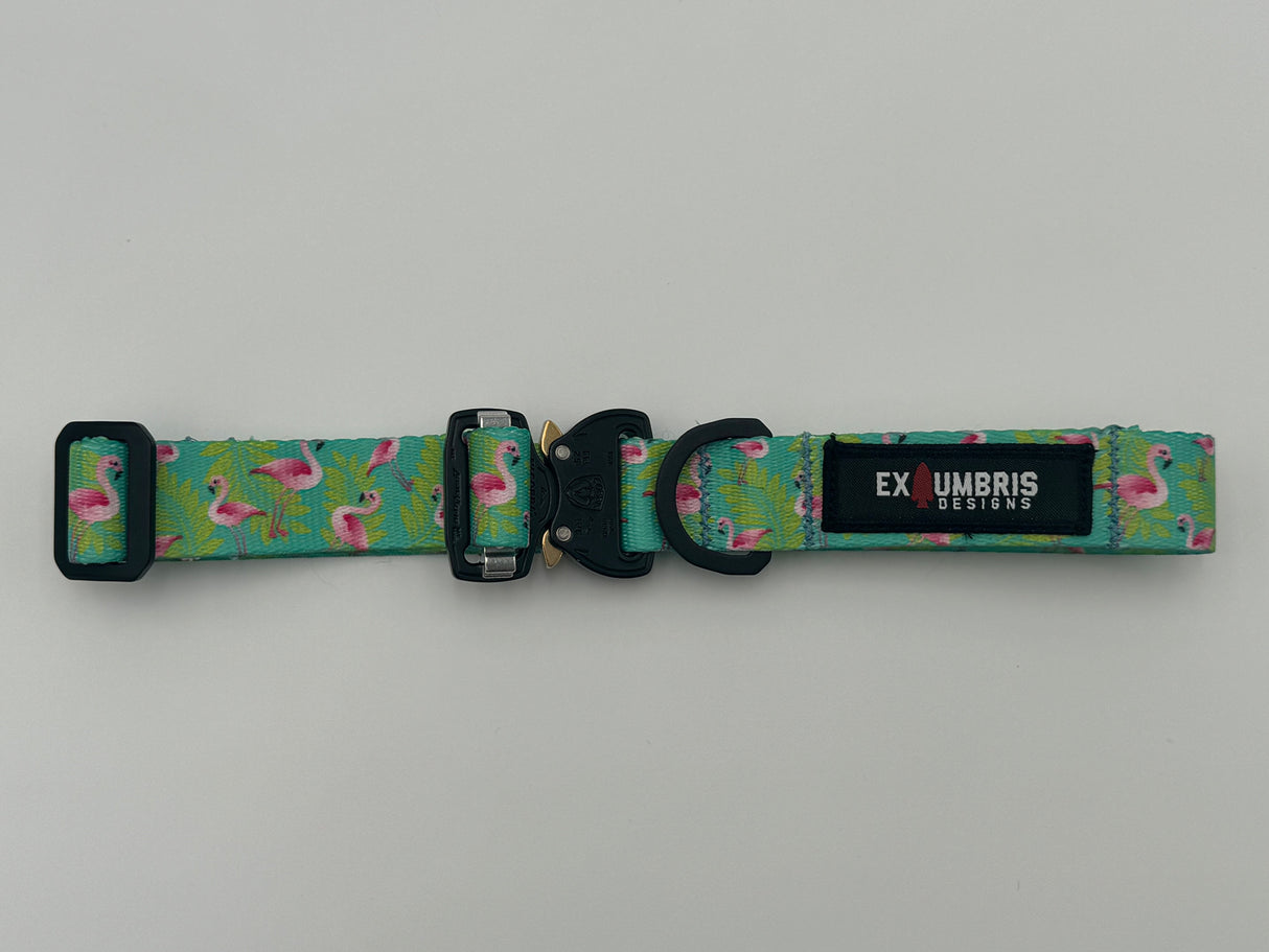 Cobra Buckle Dog Collar, alternate view 14