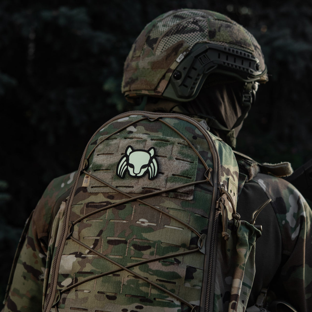 M-Tac Patch Cat Predator, alternate view 6