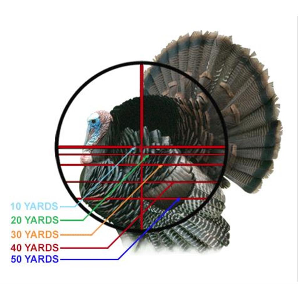 4X32 1" Crossbow Scope, Pro 5-Step RGB Reticle, QD Rings - HR Tactical Innovations