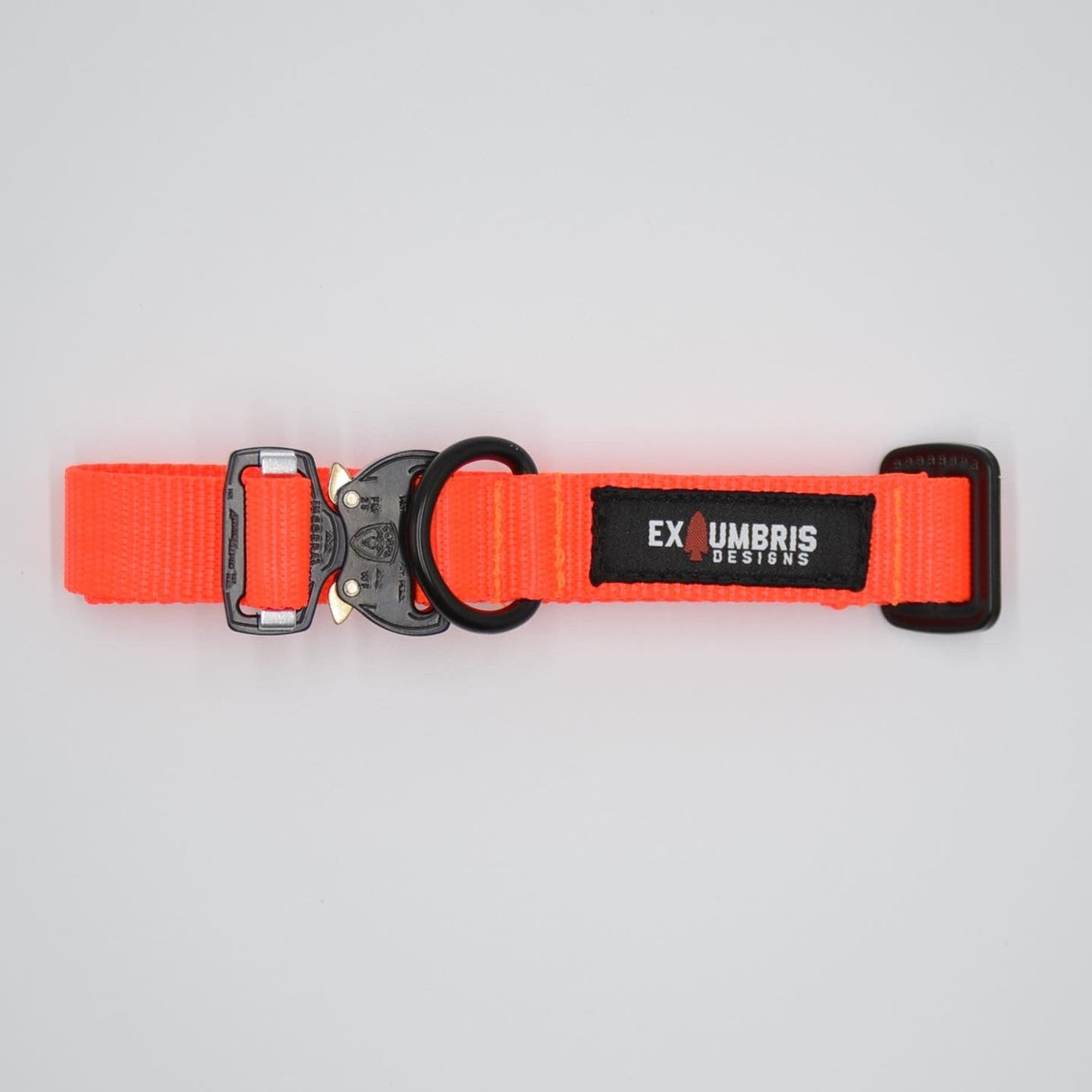 Cobra Buckle Dog Collar in Orange, alternate view 4