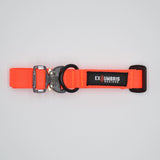 Cobra Buckle Dog Collar in Orange, alternate view 4